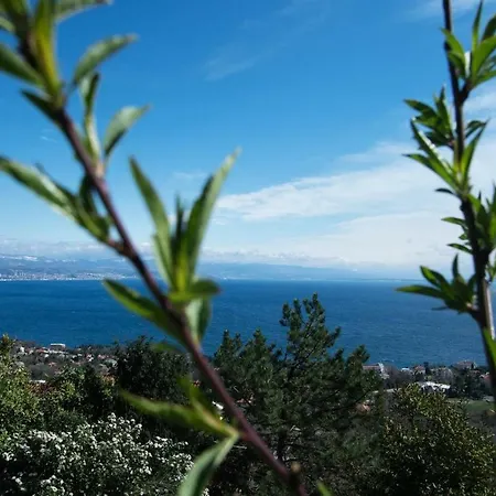 Apartment Cvita - Cozy With An Amazing View *